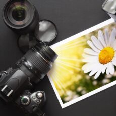 SEO Website Content Marketing